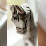 Litzkow 16301 * Archsum